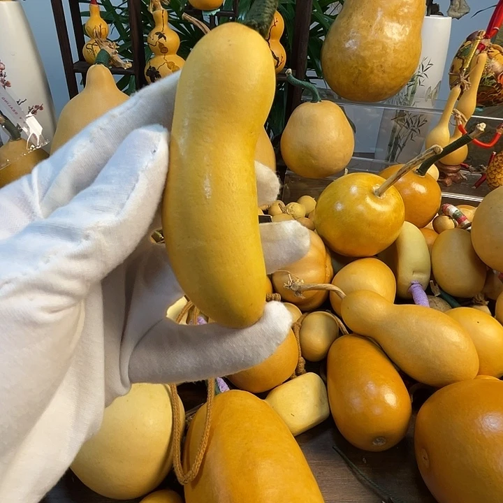 海***点藤手把葫芦精品系列10