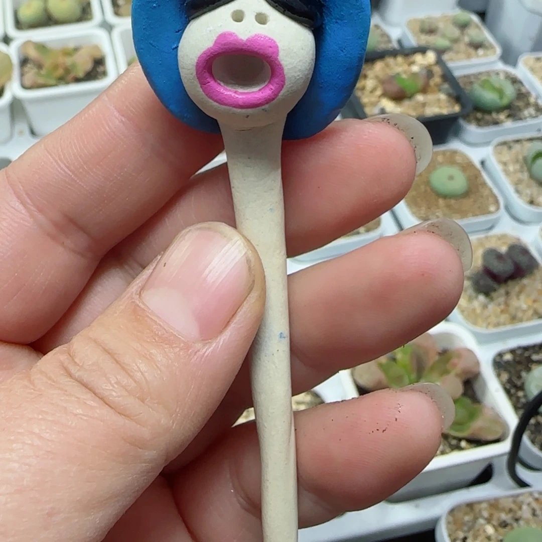 铛****猫多肉植物小蛇30号