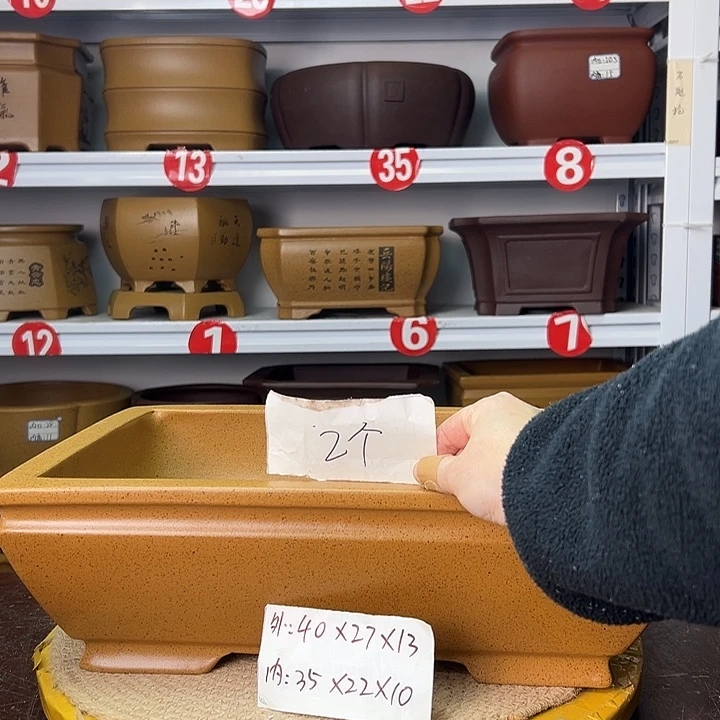 紫砂花盆你在一起