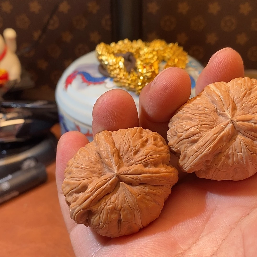 我是一个不想做的人都不会