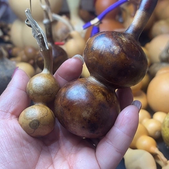 ꧁****꧂葫芦葫芦葫芦葫芦