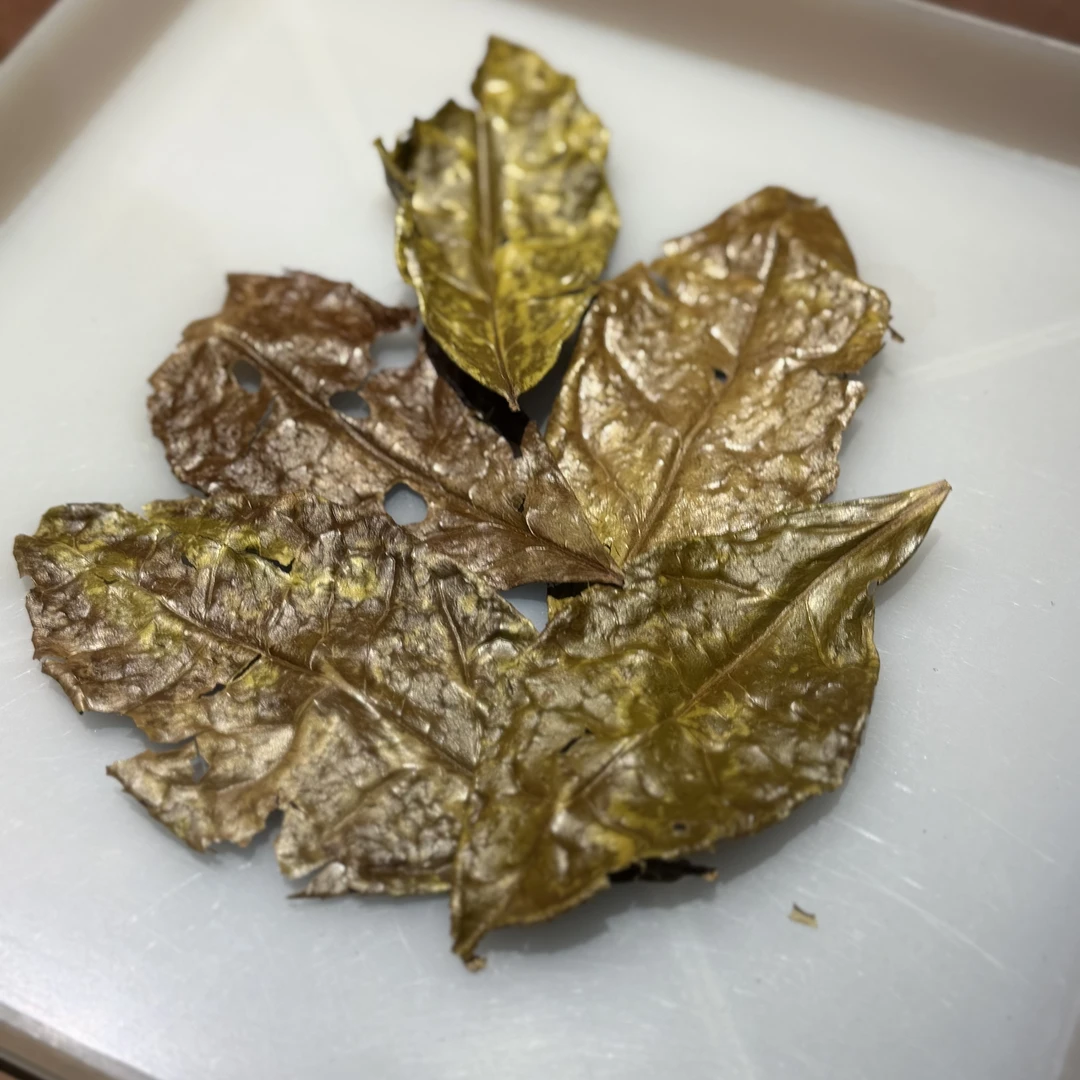 龍嘘2019年金龙鳞寿眉10g