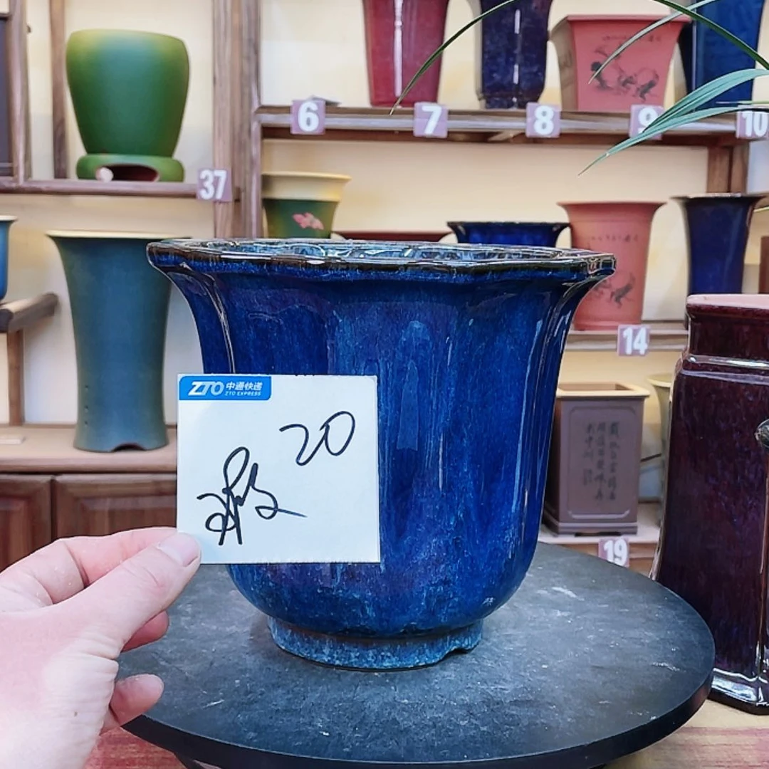 【闪购商品】紫砂花盆莱****行兰花455885558885568855