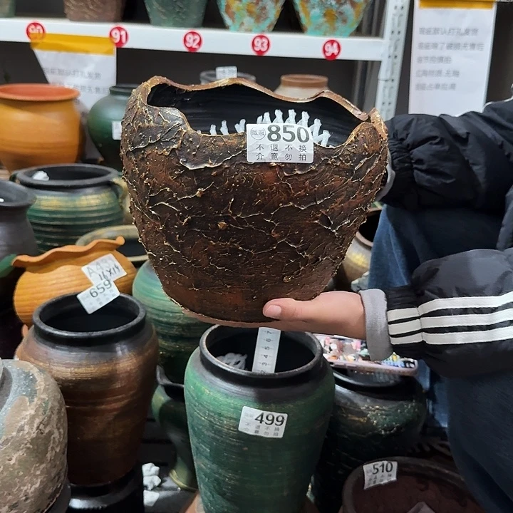 瑕疵金红壳850高度18口径21