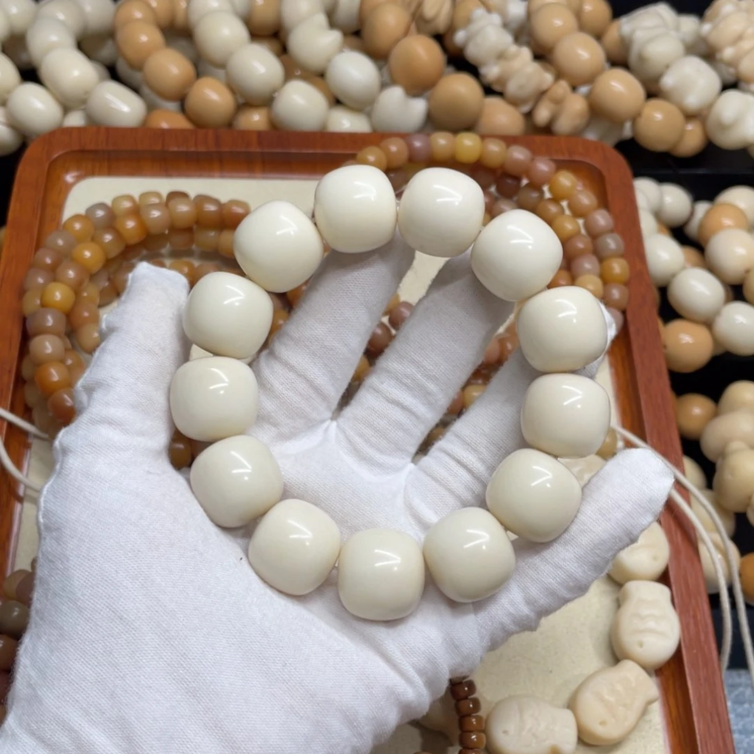 菩提根/象牙果吊坠20干磨牙果桶951