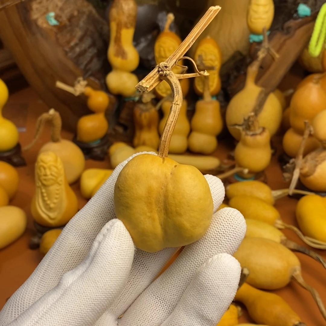 七***福教练咯教练咯教练咯教练咯