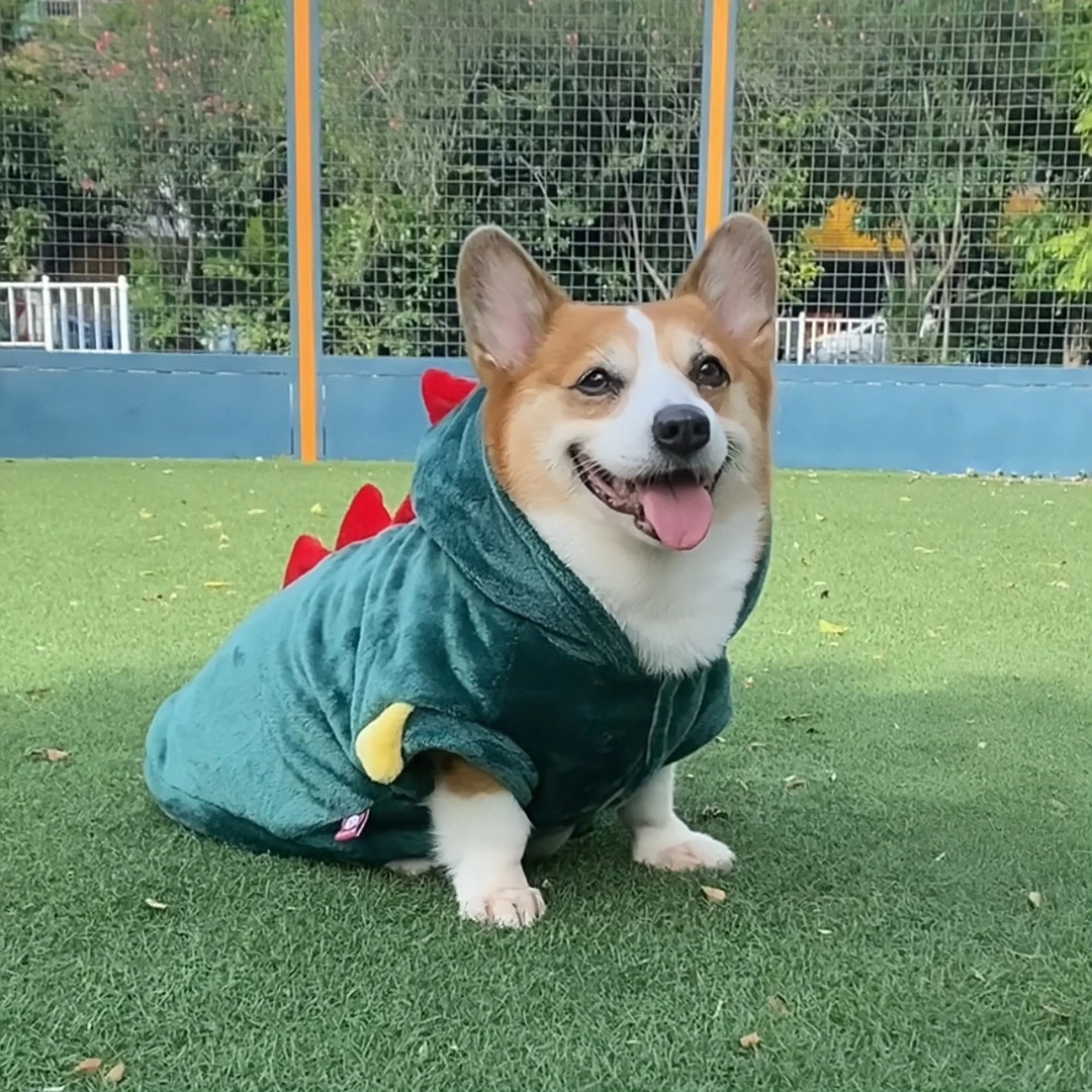 宠物狗狗两脚秋冬衣服保暖中小型犬柯基法兰绒狗狗恐龙造型
