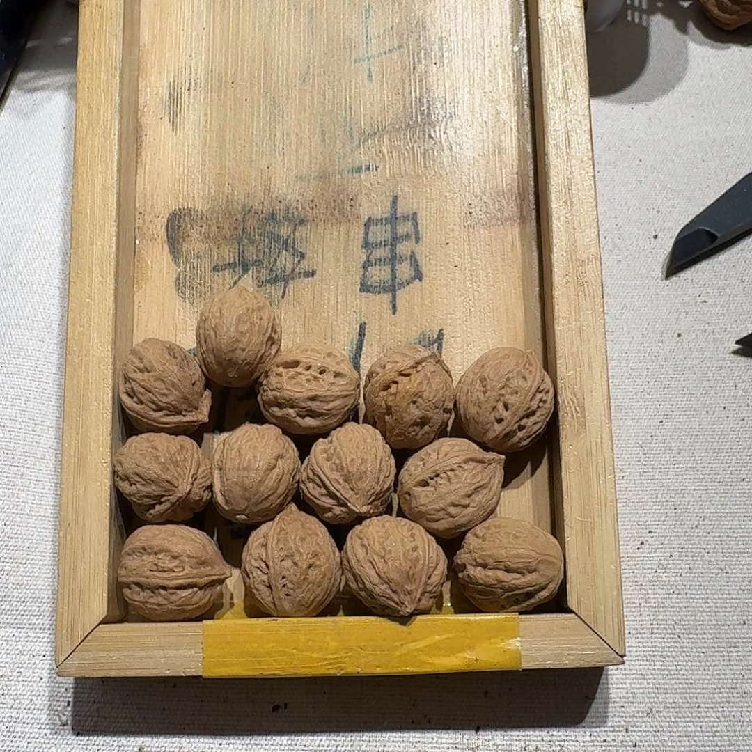 核桃手串/手链26号边18肚20高21