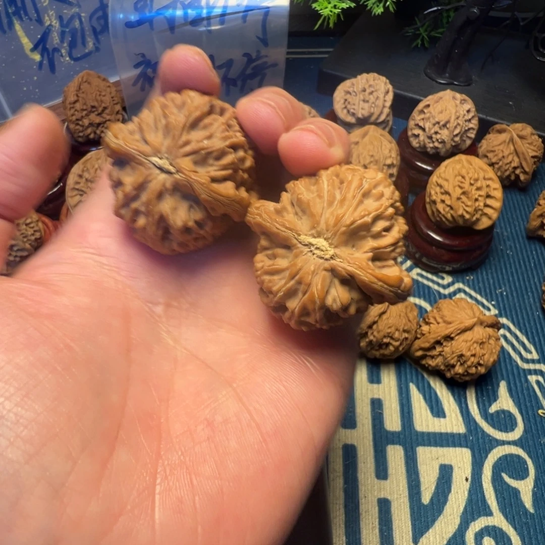 38尺全品无修水龙纹