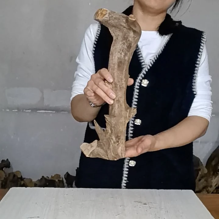 *****木太行崖柏摆件摆件摆件