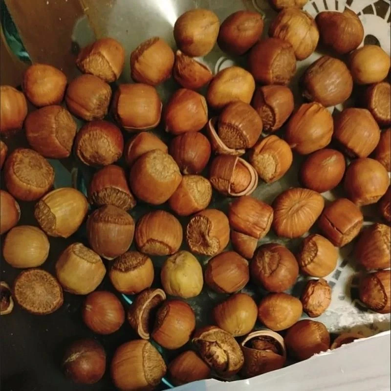 【净重】东北小榛子铁岭特产原味500g薄皮坚果孕妇零食