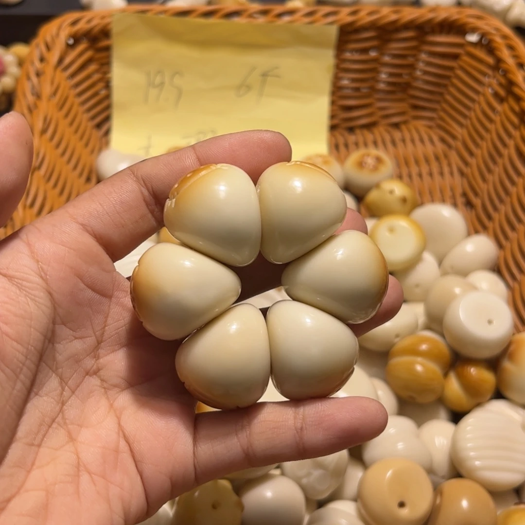 吊坠菩提根/象牙果