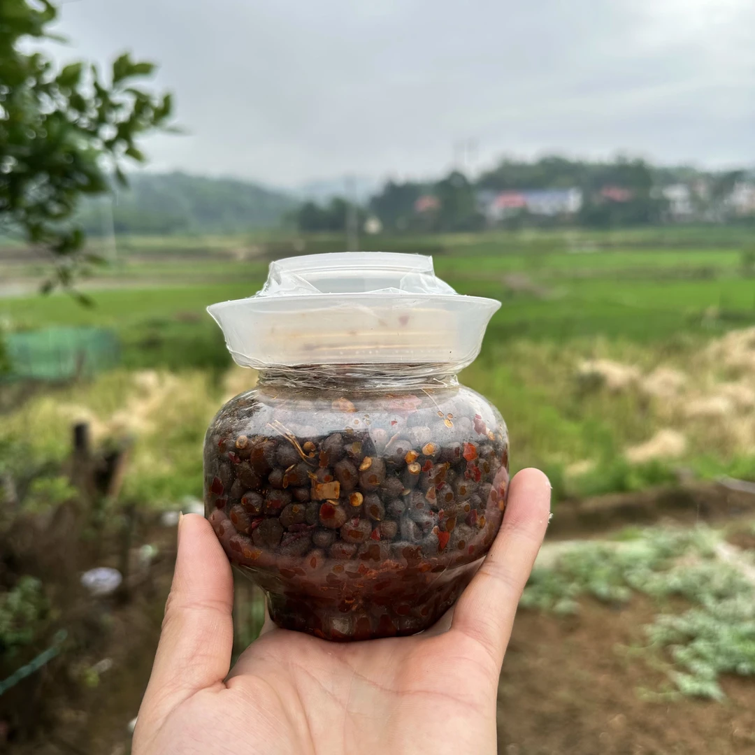 黄豆豉 农家风味 传统  老坛腌制 香辣 豆豉好吃下饭 炒苦瓜 野葱