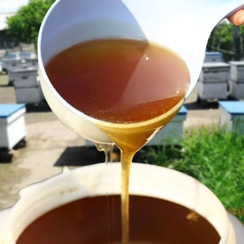 【支持检测】黄芪蜜500g/瓶深山老蜂蜜农家纯正天然原生态蜂蜜