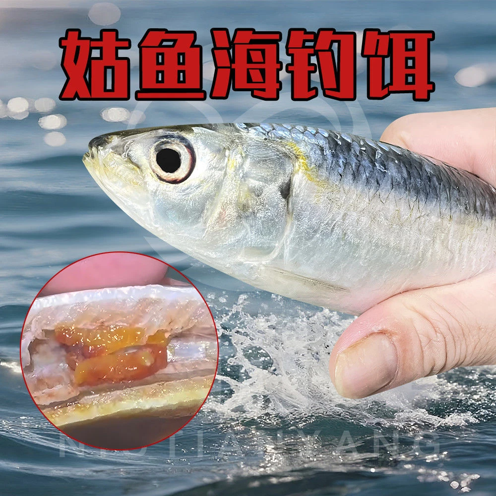 牛田洋姑鱼海钓饵温鱼腊鱼饵远投矶钓筏钓海鱼黄翅黑鲷石斑海钓饵