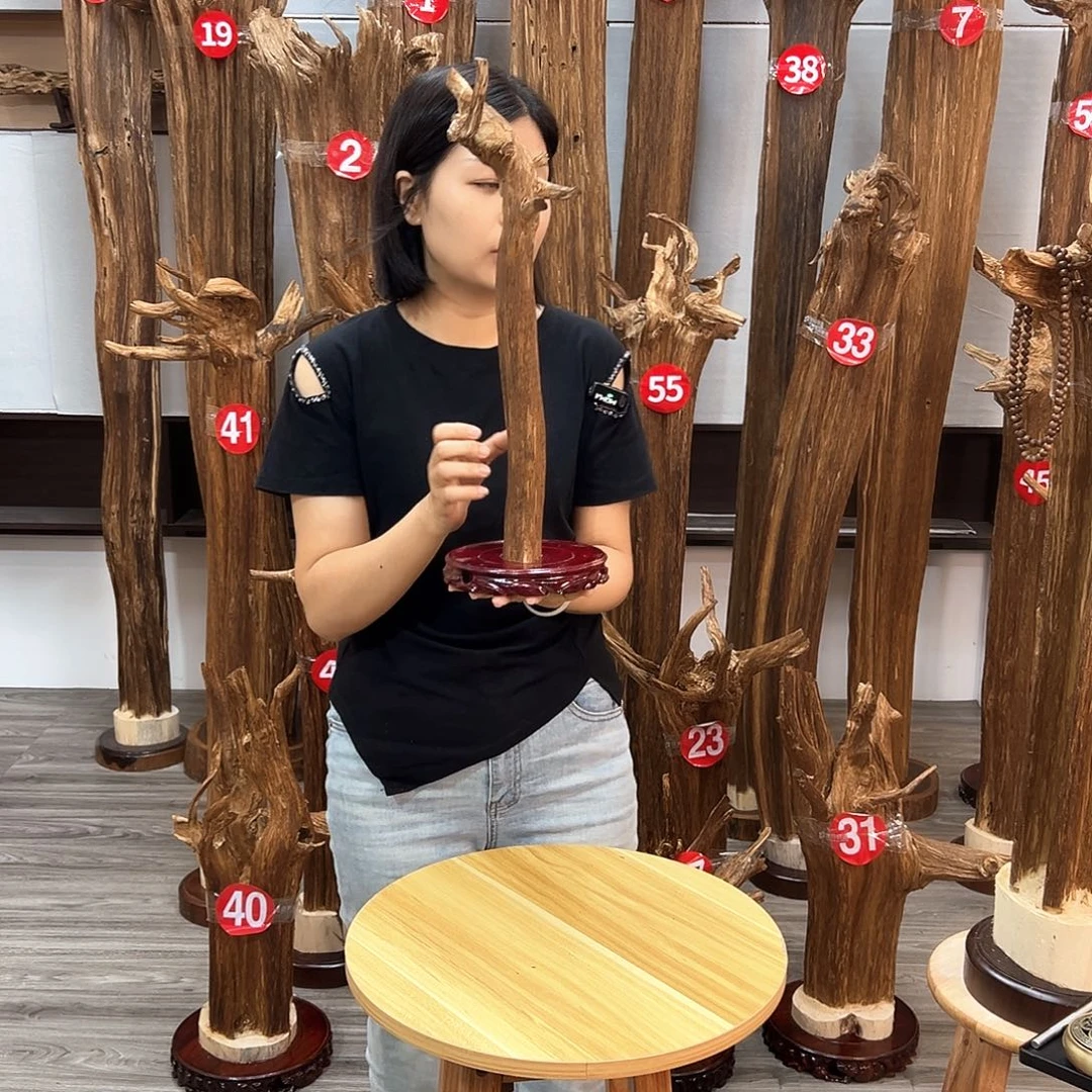 沉香沉香碎屑碎屑