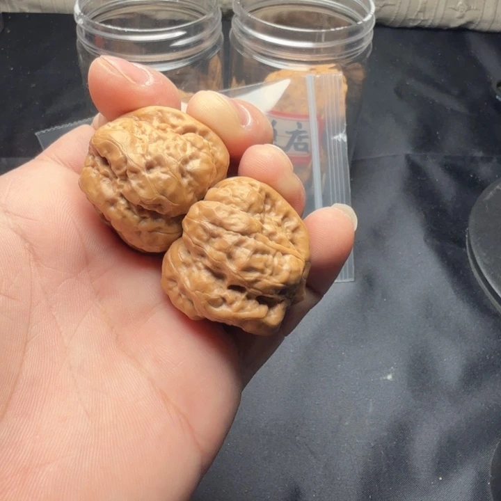 害***臀大叶紫檀（黑酸枝木类）