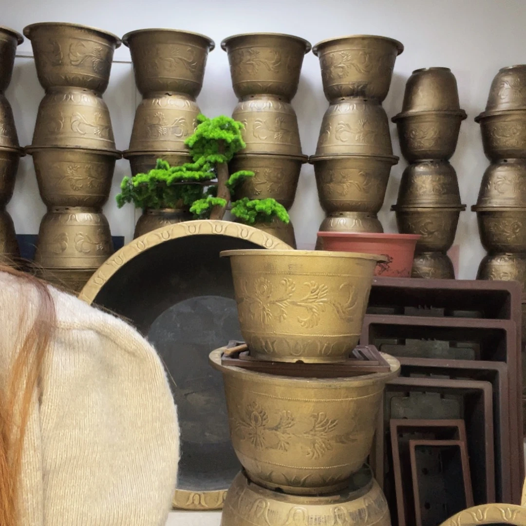 6个40圆盆栽！1个60圆盆栽！3个长方形60盆栽！有孔紫砂色！