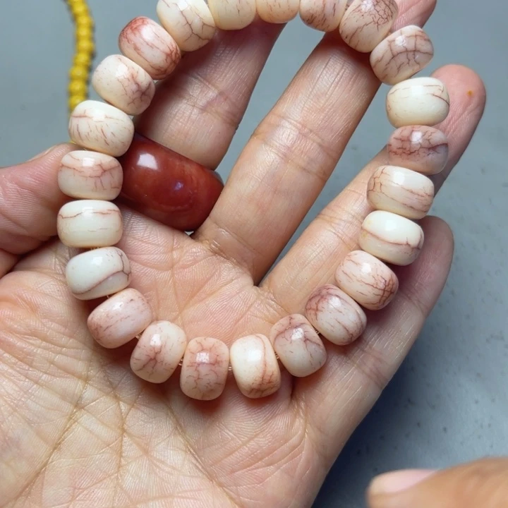 大果紫檀（缅甸花梨）