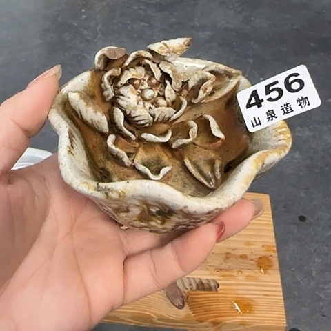 瓷片柴烧柴烧柴烧456