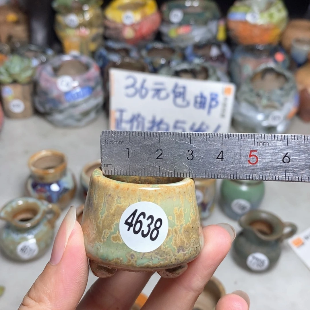 拍5送一个小礼物