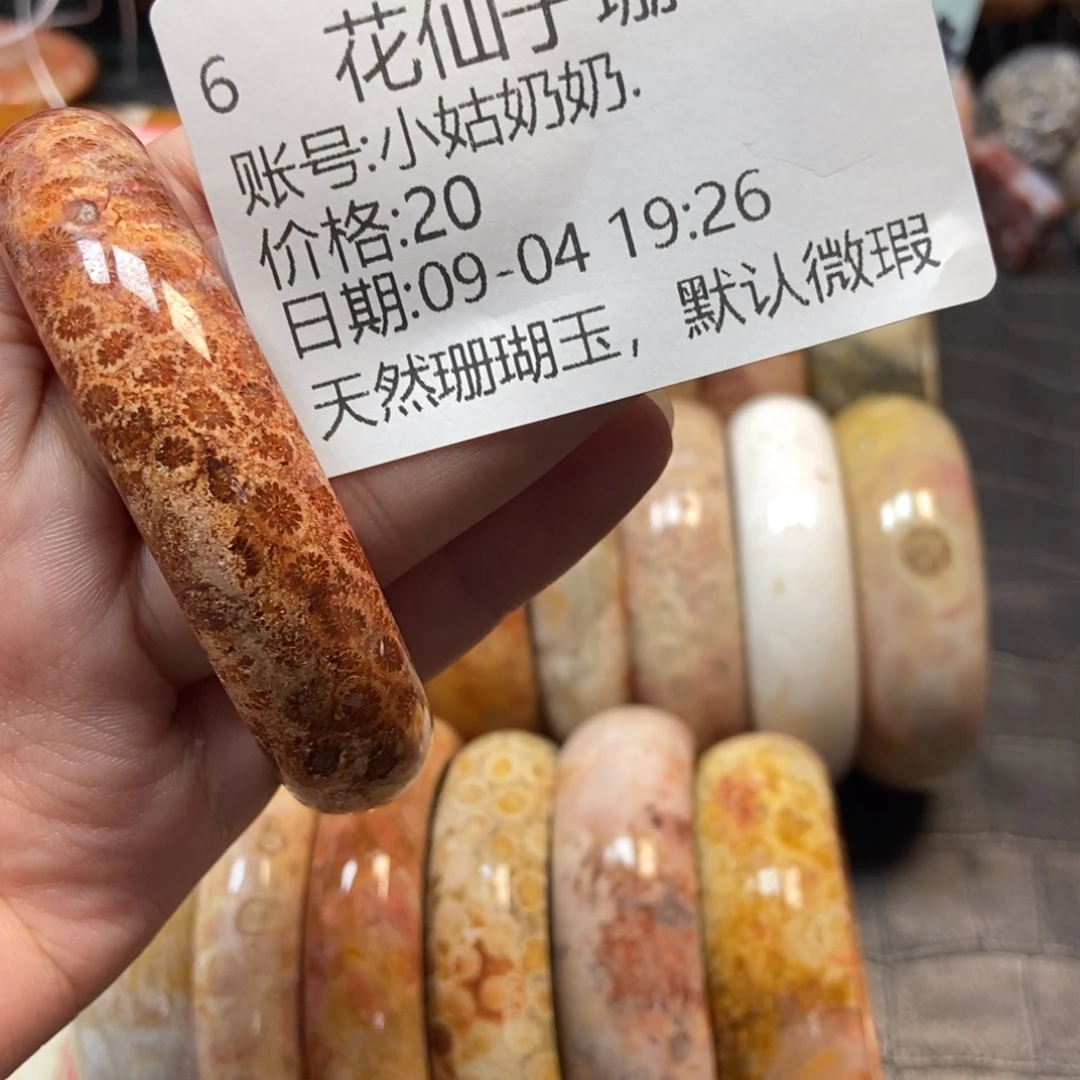 小***.未镶嵌硅化珊瑚（珊瑚玉）珠宝半成品6