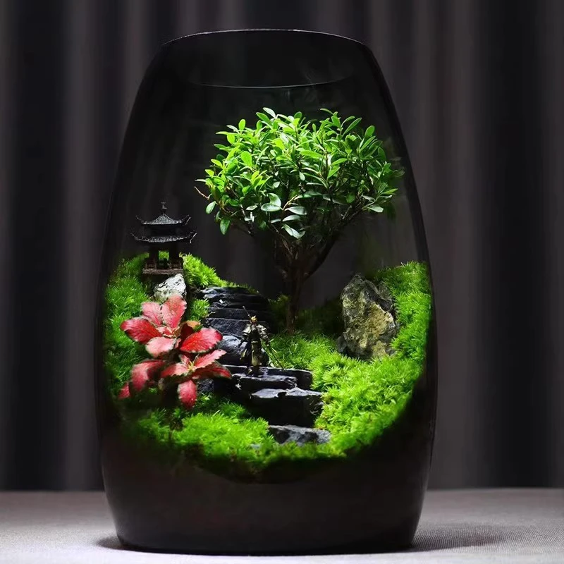 黑神话悟空苔藓微景观造景植物创意桌面新款国风绿植高端礼物摆件