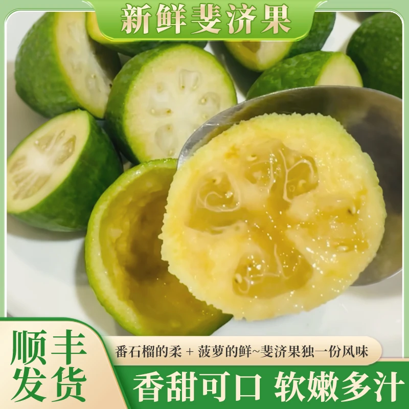 【顺丰空运】新鲜斐济果菲油果稀有热带水果香甜可口现摘现发12个装