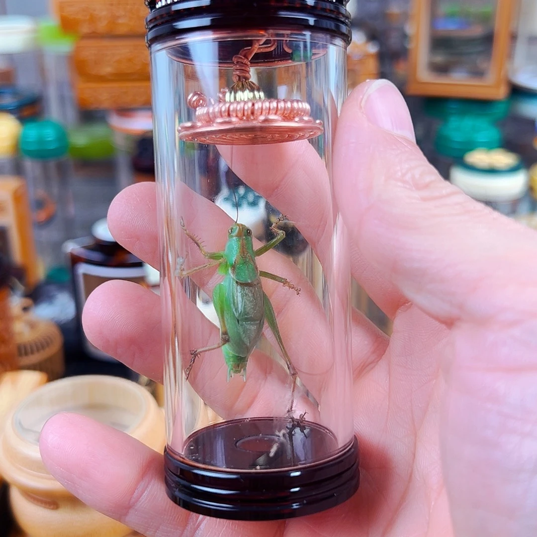 茶色扎嘴罐一套虫具