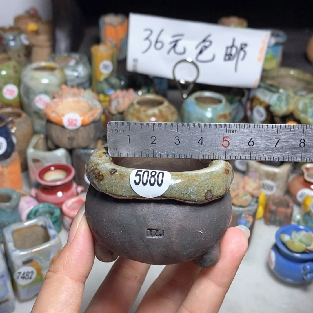 拍3送一个小礼物