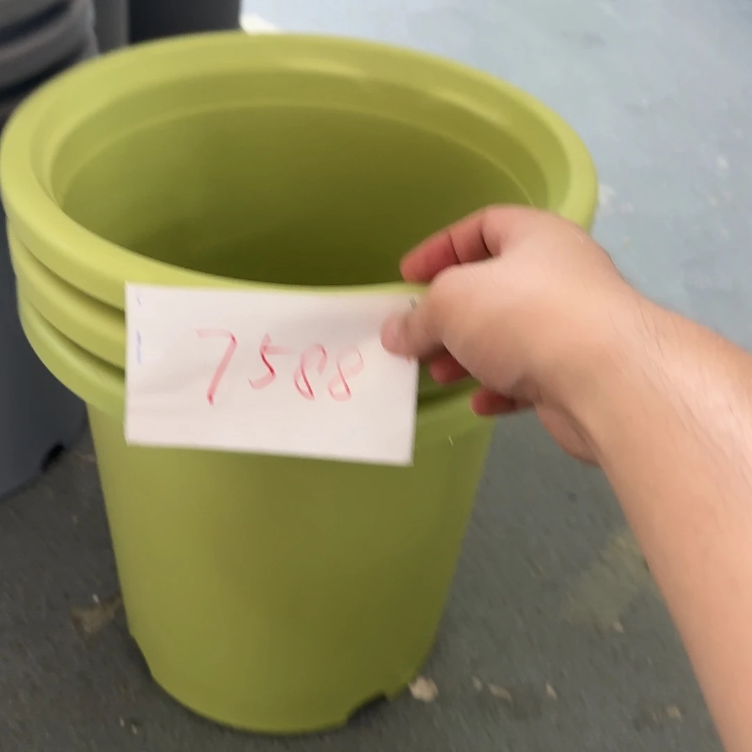铜***）编号7588，7号无托