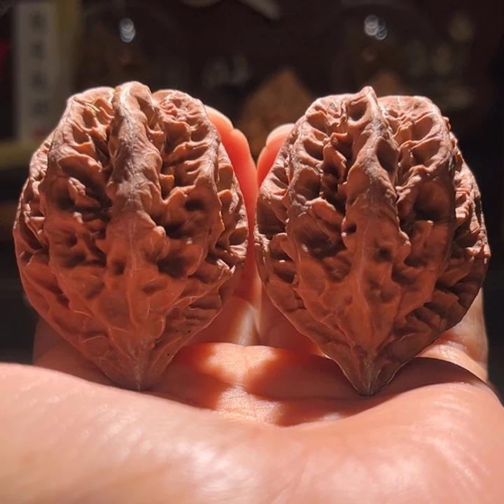 吊坠文玩核桃橘珊瑚26