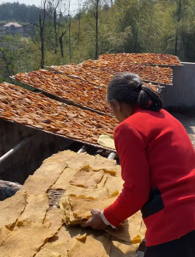 湖南邵东特产农家红薯干干红薯