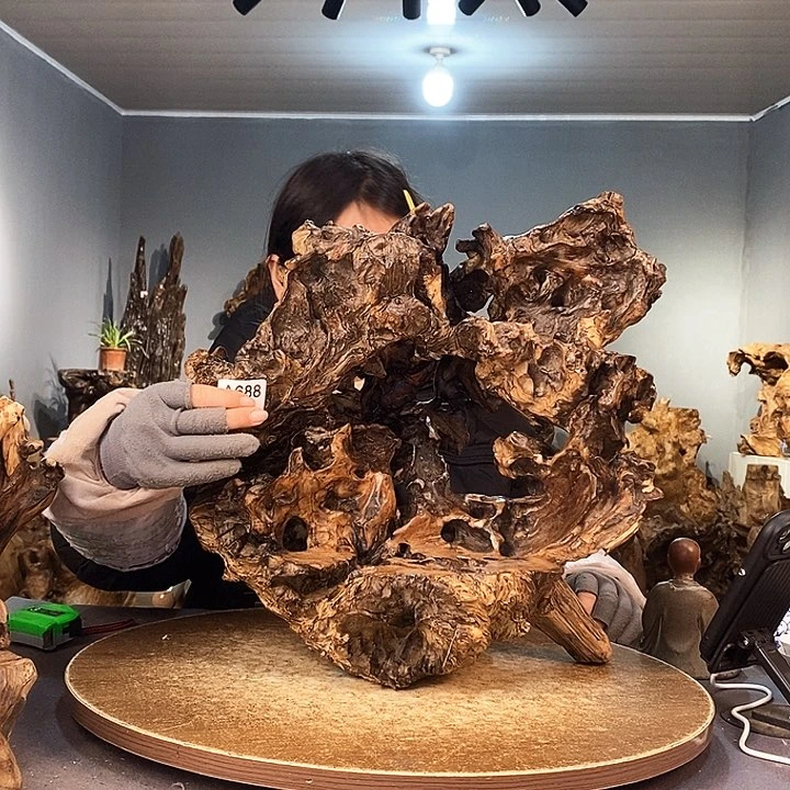 茶盏京***红688株木底座随行根艺