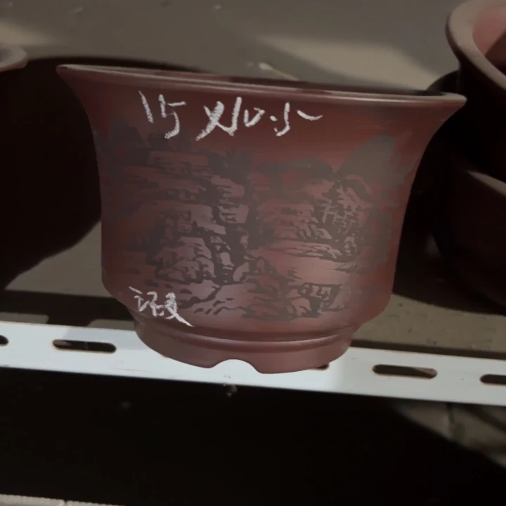 呜呜呜太好看太好看