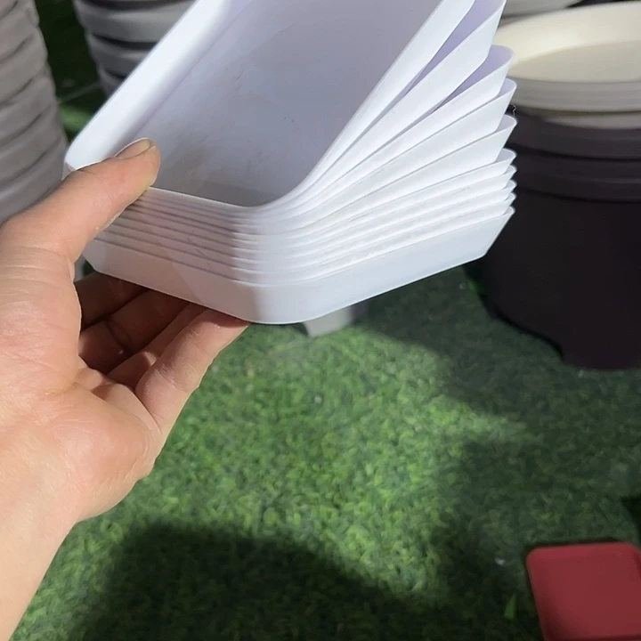 布***鲁白色托盘10个14白色方盆用