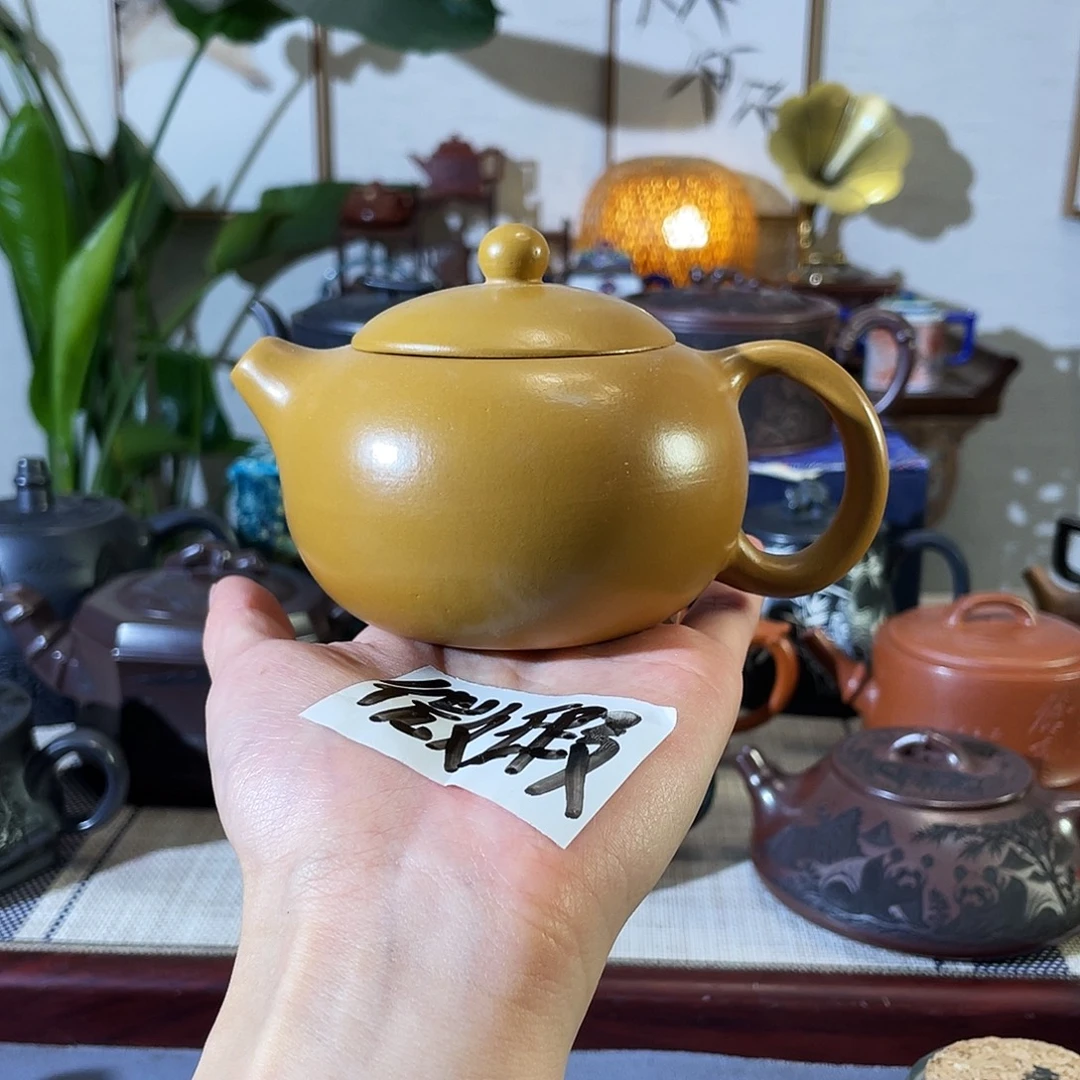 茶壶紫砂哈哈哈哈哈