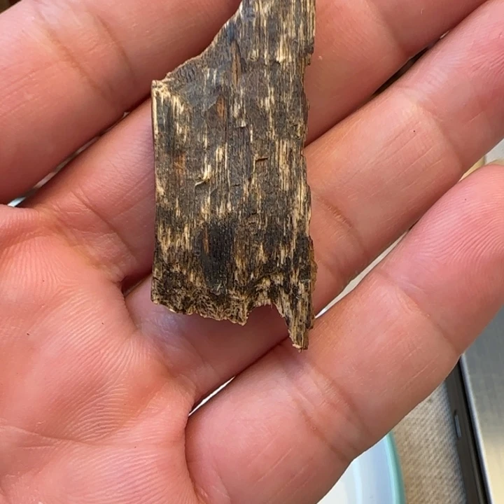 摆件沉香黎侗沉水虫漏1.9克