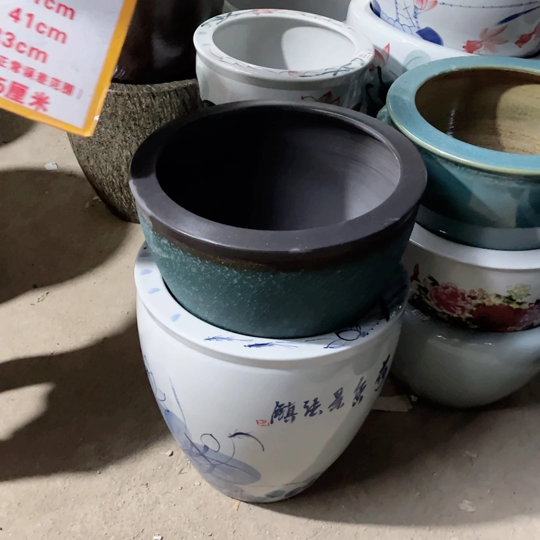 瓷片兰泡52.888889998