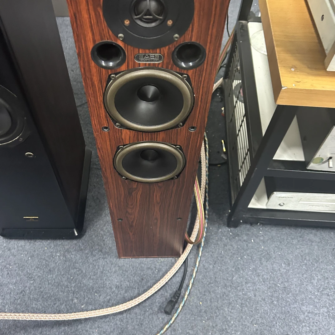 AE系列落地音响一对不包邮