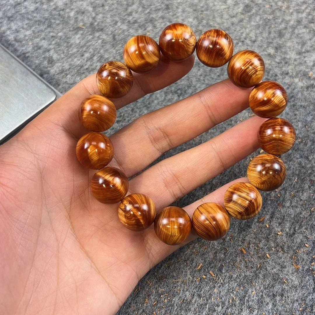 崖柏太行崖柏红骨碎花龙胆1.5