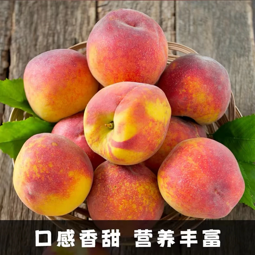 新鲜现摘彩虹黄桃水果当季脆香甜蜜桃