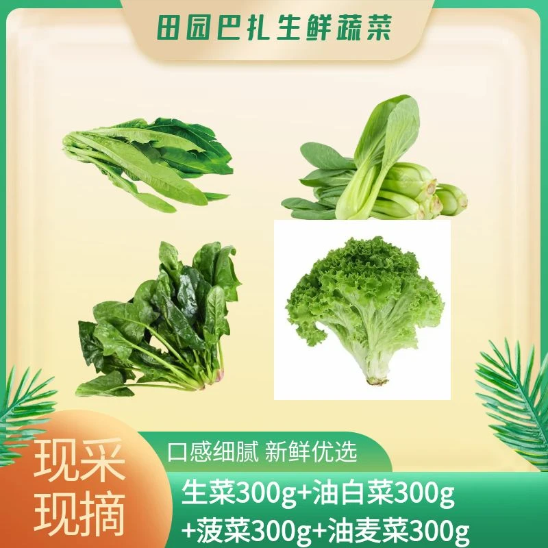 【四重惊喜】生菜300g+油麦菜300g+菠菜300g+油白菜300g
