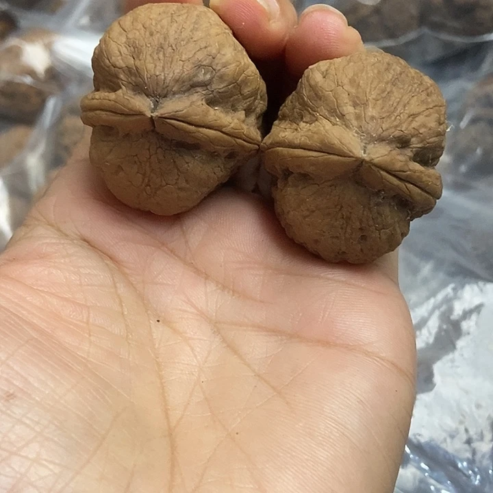 文玩核桃把件云南铁核桃基地30