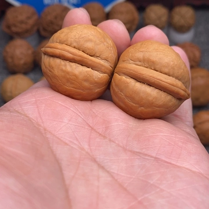 文玩核桃把件小海豚