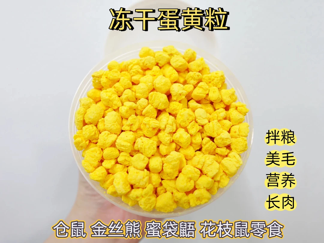 仓鼠冻干蛋黄小零食增肥金丝熊花枝鼠营养长肉美毛蜜袋鼯松鼠刺猬