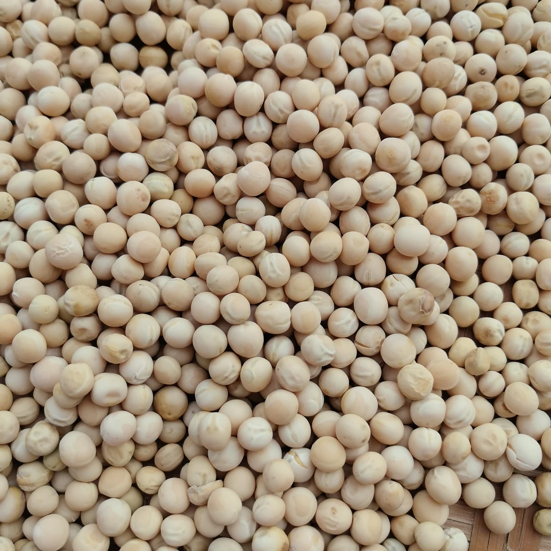 四川巴中农家本地干豌豆