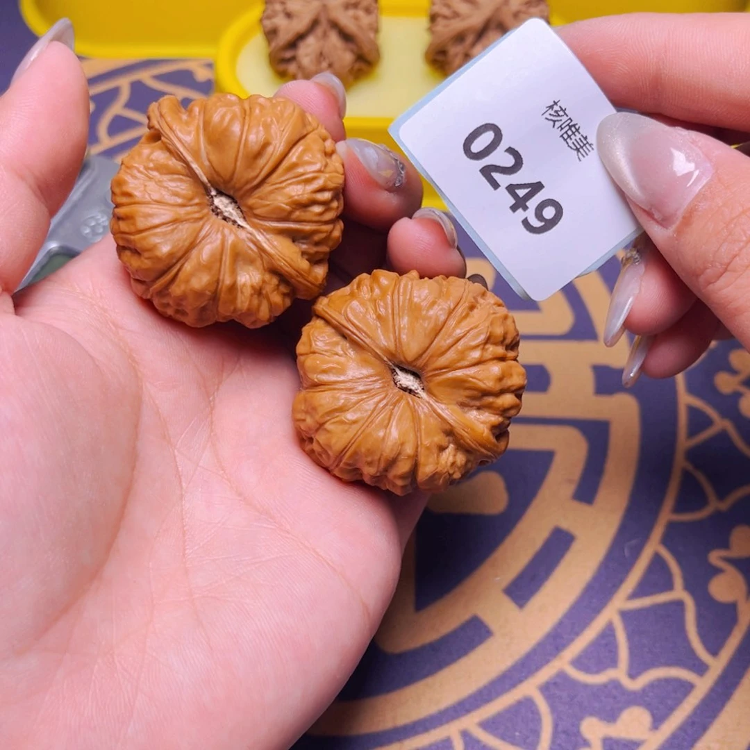 文玩核桃把件南瓜墩42～0249