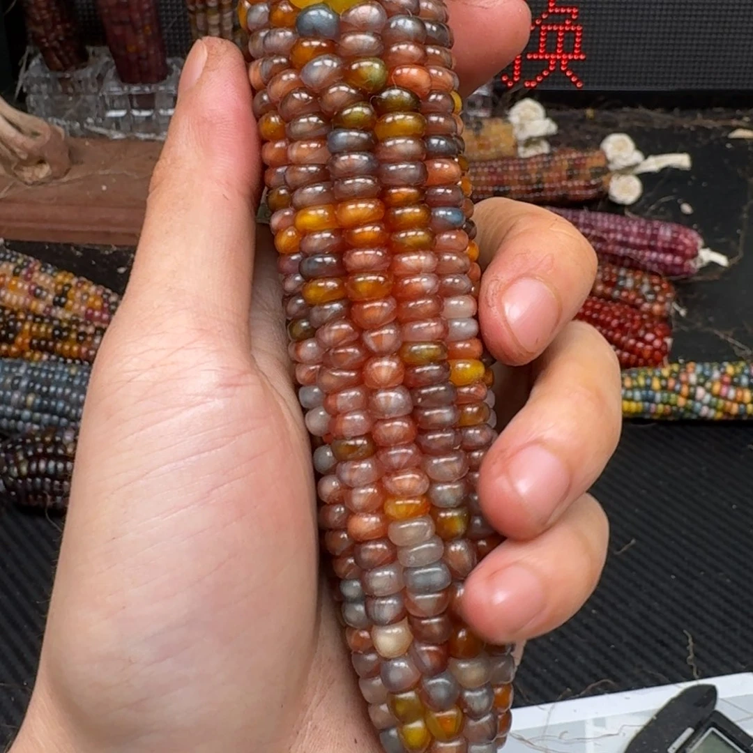 柏香籽/百香籽吊坠我****啦