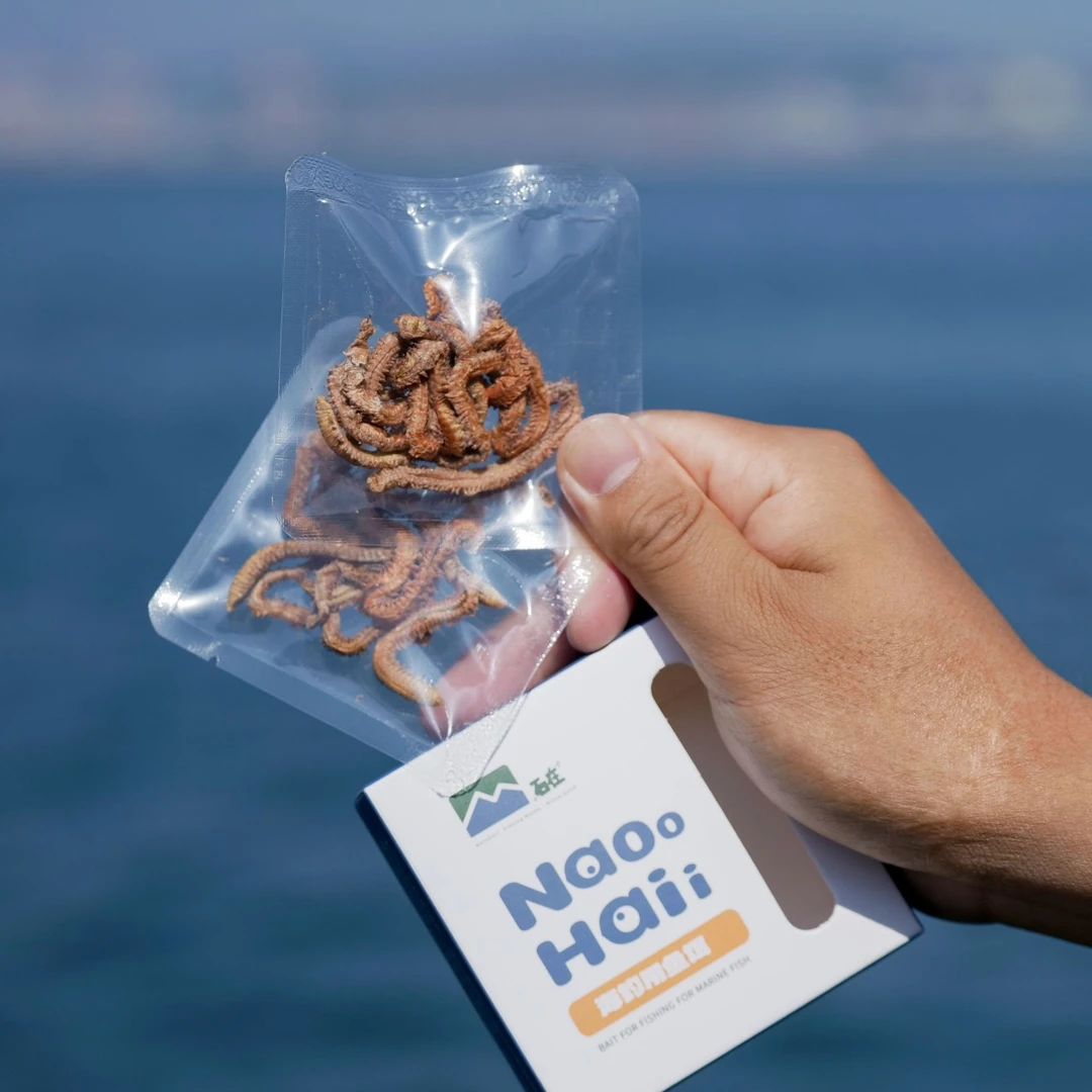 石在沙蚕干好用蜜汁海钓风干沙蚕